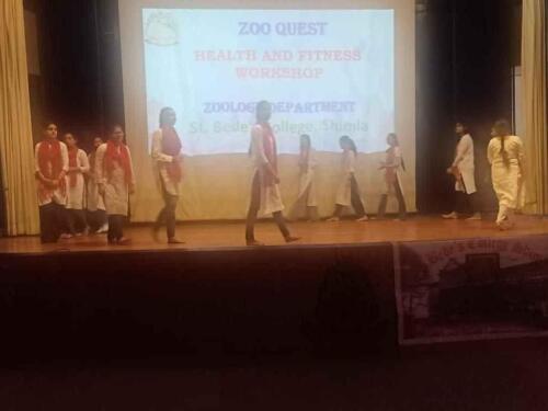 Health and Wellness Activity